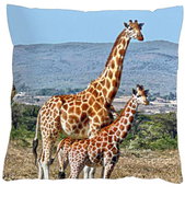 4sleep Povlak na polštář 40 × 40 cm, na zip velur - Žirafy - Povlak na polštář