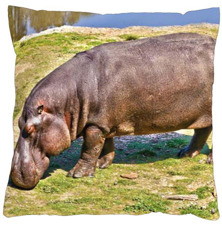 4sleep Pillowcase 40 × 40 cm, zipped velour - Hippo - Pillowcase - Main image