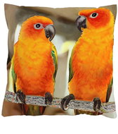4sleep Povlak na polštář 40 × 40 cm, na zip velur - Papoušci Aratinga - Povlak na polštář