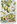Avocado tree