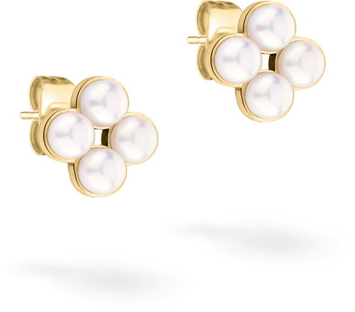 Tamaris Gold plated steel earrings TJ-0518-E-08 - Earrings - Main image