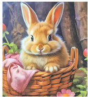 4sleep Easter pillowcase 40 × 40 cm bunny in a basket - Pillowcase