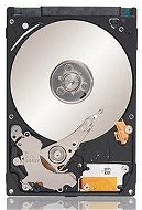 Seagate Momentus FDE Thin 250GB - Pevný disk
