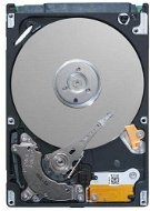 Seagate Momentus FDE Thin 250GB 7200 - Pevný disk