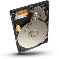 Seagate Video 500GB - Pevný disk