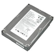 Seagate Barracuda 7200.9 300GB, 8MB cache, 7200ot, ST3300822AS - Hard Drive