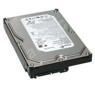 Seagate Barracuda 7200.11 160GB - Hard Drive