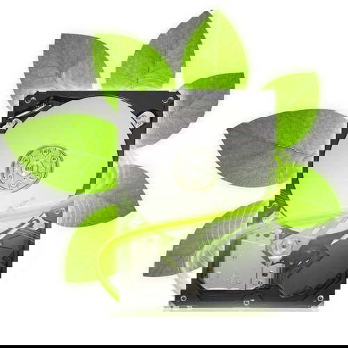 Seagate Barracuda Green 1TB - Hard Drive - Main image