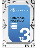Seagate Enterprise-NAS-Festplatte 3000 GB - Festplatte