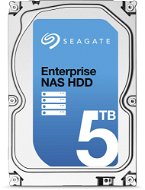 Seagate Enterprise-NAS-Festplatte 5000 GB - Festplatte