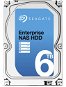 Seagate Enterprise-NAS-Festplatte 6000 GB - Festplatte