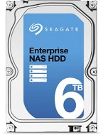 Seagate Enterprise-NAS-Festplatte 6000 GB - Festplatte