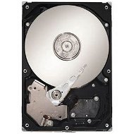 Seagate SV35.3 250GB - Pevný disk