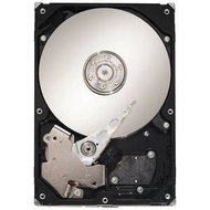 Seagate SV35.3 1TB - Hard Drive