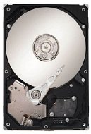 Seagate SV35 3000GB - Pevný disk