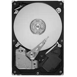 Seagate Pipeline HD.2 250GB - Hard Drive - Main image
