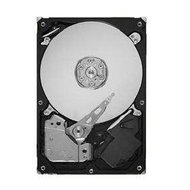 Seagate Pipeline HD 320GB - Hard Drive