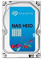 Seagate NAS HDD 1000 GB - Festplatte