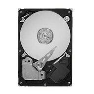 SEAGATE Pipeline HD 320GB - Hard Drive