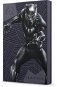 Seagate FireCuda Gaming HDD 2 TB Black Panther Special Edition - Externý disk