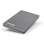 Toshiba StorE Steel 1.8" 250GB Titanium - Externí disk