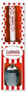 Nekupto Jmenná lžička 2 KD EX 043 Ludmila - Lžíce