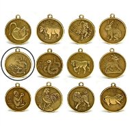 FENGSHUIHARMONY DRAK Coins Zodiac - Charm