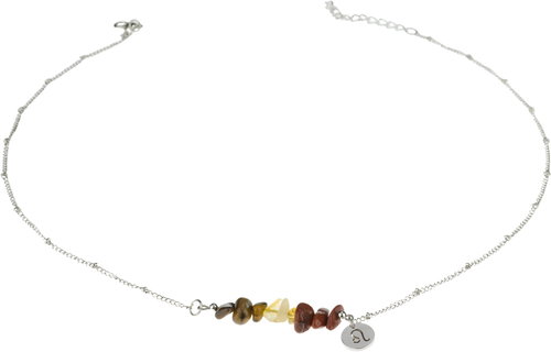 Feng Shui Harmony Necklace with sign of the Lion - Necklace - Main image