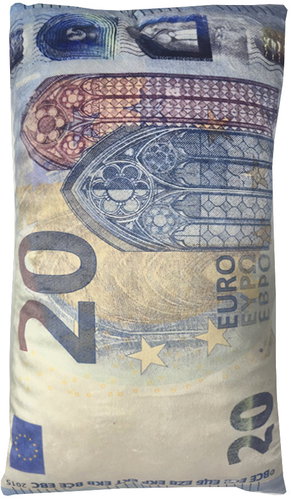 4sleep Decorative pillow banknote 20 Eur 30 × 50 cm - Pillow - Main image