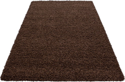 Kusový Dream Shaggy 4000 brown 200×290 cm - Koberec - Main image