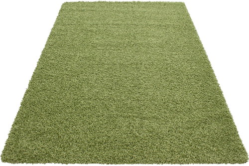 Kusový Dream Shaggy 4000 green 120×170 cm - Koberec - Main image