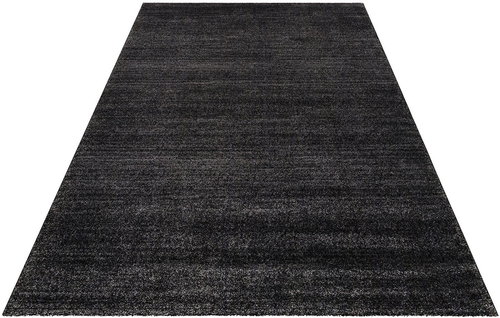 Kusový Loftline K11491-01 Anthracite 80×200 cm - Carpet - Main image