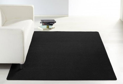 Kusový Nasty 102055 Schwarz 80×300 cm - Carpet - Main image