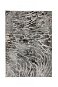 Kusový koberec Eris Lyra Silver 80×150 cm - Koberec