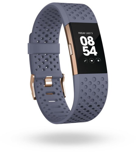Fitbit Charge 2 Large Blau Grau Rotgold Sport - Fitnesstracker - Hauptbild