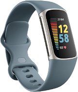 Fitbit Charge 5 Steel Blue/Platinum Stainless-Steel - Fitness Tracker