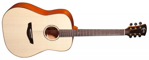 Faith FS - Acoustic Guitar - Main image