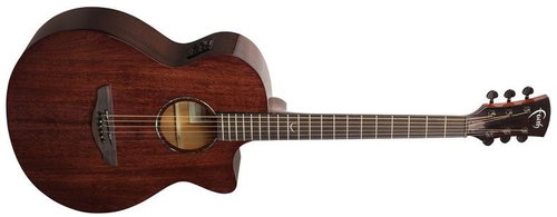 Faith FPVCG - Acoustic-Electric Guitar - Main image