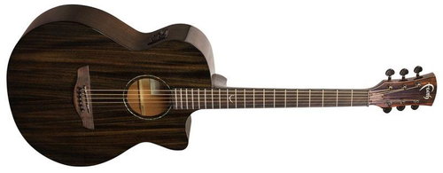 Faith FPVCK - Acoustic-Electric Guitar - Main image