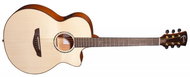 Faith FV - Acoustic-Electric Guitar