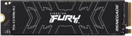 Kingston FURY Renegade NVMe 500GB - SSD disk