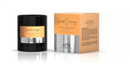 Apis Přírodní ze sojového vosku Spiced Orange 220 g - Candle