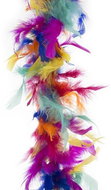 Funny Fashion Boa rainbow coloured 2 m - Costume Accessory