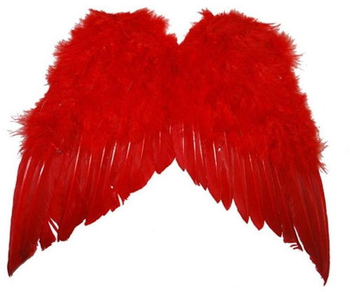 Funny Fashion Wings red - smaller - Costume Accessory - Main image