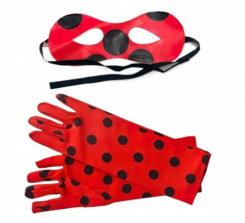 FunCo Fairy ladybug set of accessories - Party Accessories - Main image