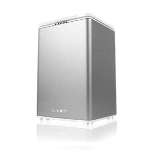 ICYBOX B-RD3262-USE2 Raid System - Hard Drive Enclosure - Main image