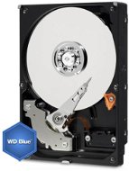WD Blue 80GB 8MB cache - Pevný disk