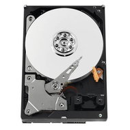 Hard Drive WESTERN DIGITAL Caviar AV Green Power 1000GB - Hard Drive
