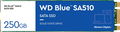 WD Blue SA510 SATA 250GB M.2