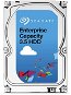 Seagate Enterprise Capacity 4 TB - Merevlemez